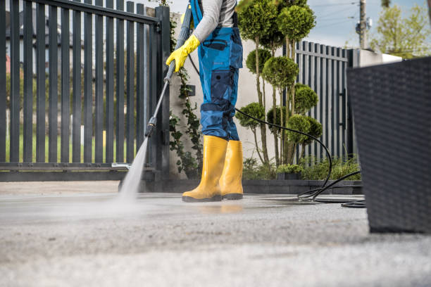 Best Patio and Deck Pressure Washing  in Pearl City, HI